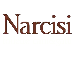 Logo Narcisi